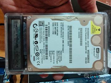 Custodia con display + HDD Western Digital 250GB