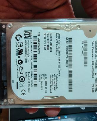 Custodia con display + HDD Western Digital 250GB