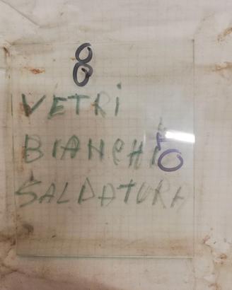 vetri  bianchi