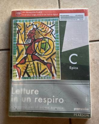 Libro di epica