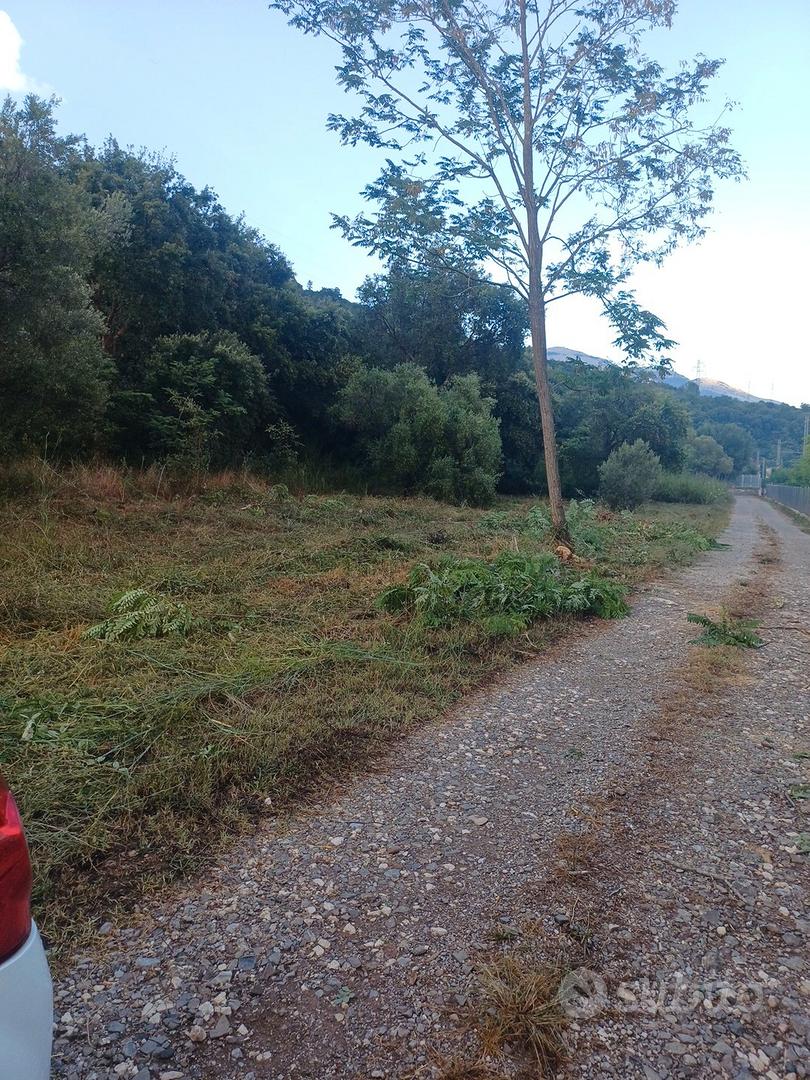 terreno a vibonati - Altro