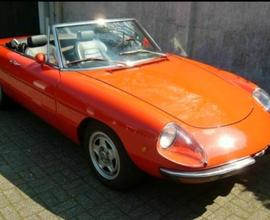 ALFA ROMEO Spider - 1979