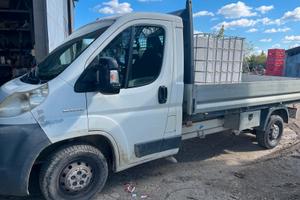 Fiat ducato 120 Mjet cassonato 