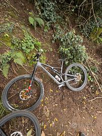 specialized stumpjumper evo pro