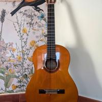 Chitarra Yamaha con Sacca