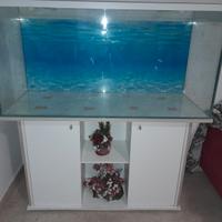 acquario 360 LT