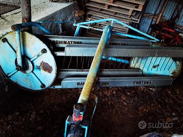 Ranghinatore Fortuna