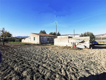 Azienda agricola di 5 ha con magazzino