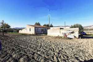 Azienda agricola di 5 ha con magazzino