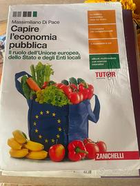 Capire l’economia pubblica (Zanichelli)