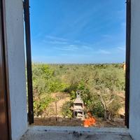 Villino da ristrutturare