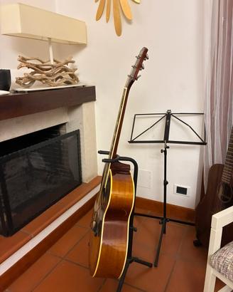 Chitarra acustica Ibabez Concord