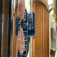 Coppia terminali harley