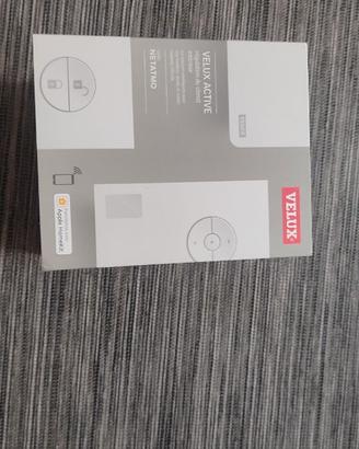 Kix 300 VELUX Active with Netatmo