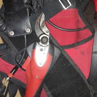 Forbice infaco elettrocoup 3005