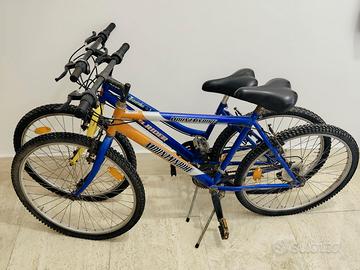 Biciclette mountain bike