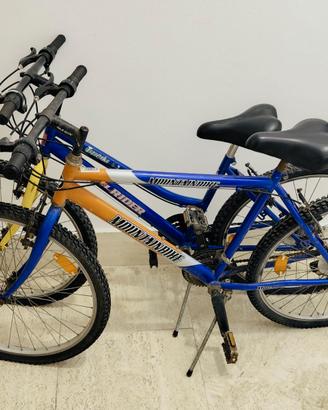 Biciclette mountain bike