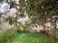 Immagine 14