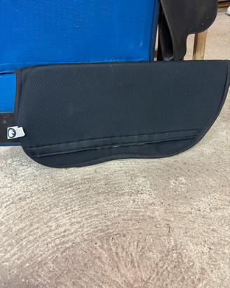 Sottosella americana podium