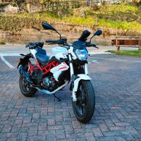 Benelli bn 125
