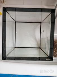 acquario   askoll cobo mini lato 36 vm