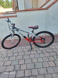 annuncio mtb