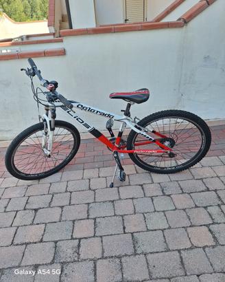 annuncio mtb