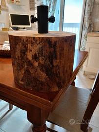 Tronco base albero natale