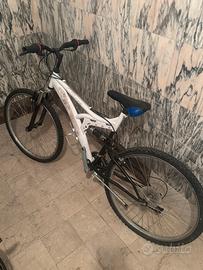 2 biciclette