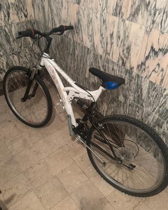 2 biciclette