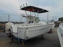 aquafish-550-40cv-mercury-pro