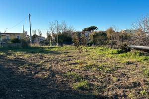 Terreno ai Camaldoli