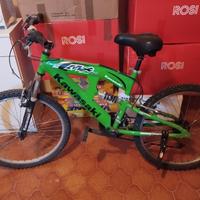 bicicletta da ragazzo 