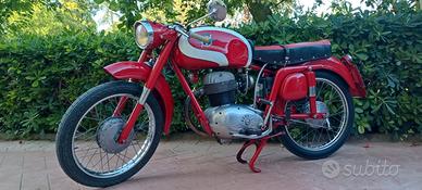 MV Agusta 175 epoca CST - 1957