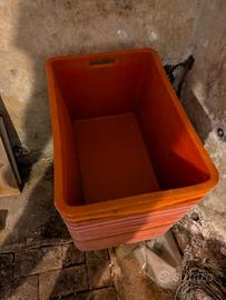 19 cassette in plastica per vendemmia/agricoltura