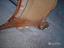 Immagine 10