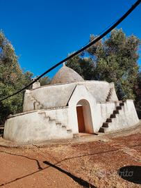 Terreno con trullo e ulivi secolari