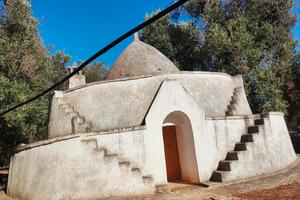 Terreno con trullo e ulivi secolari