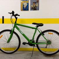 Bicicletta mountain bike edizione limitata Serie B