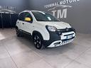 fiat-panda-1-0-firefly-s-s-hybrid-pandina