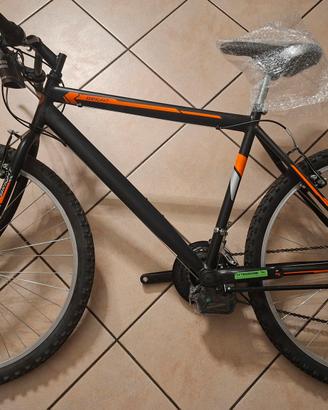 MOUNTAIN BIKE