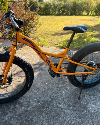 Fatbike