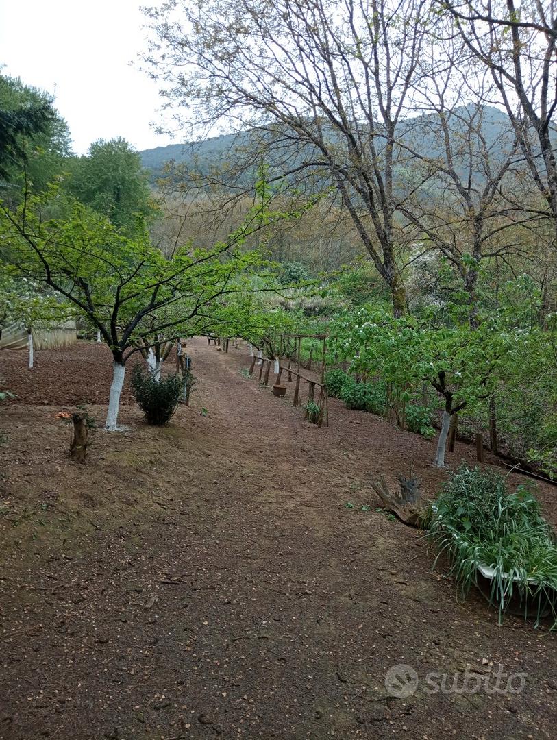 Terreno agricolo - Vista 5
