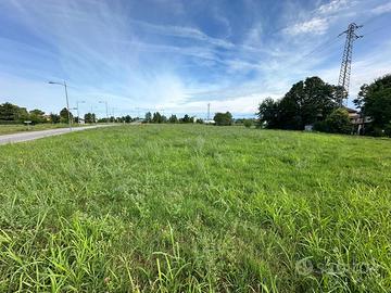 SOLEGGIATO E VERSATILE TERRENO AGRICOLO