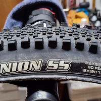 Maxxis minion ss