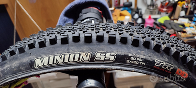 Maxxis minion ss