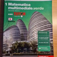 Matematica multimediale.verde 1