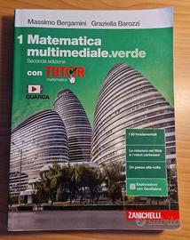 Matematica multimediale.verde 1