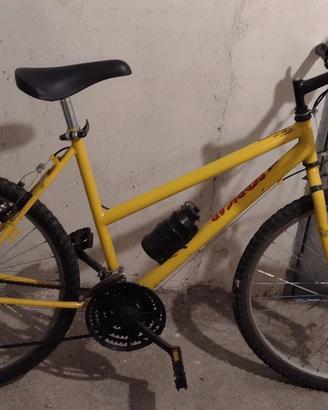 bici mtb donna