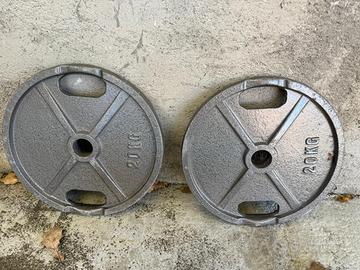 Dischi in ghisa 20 Kg diametro 50 mm